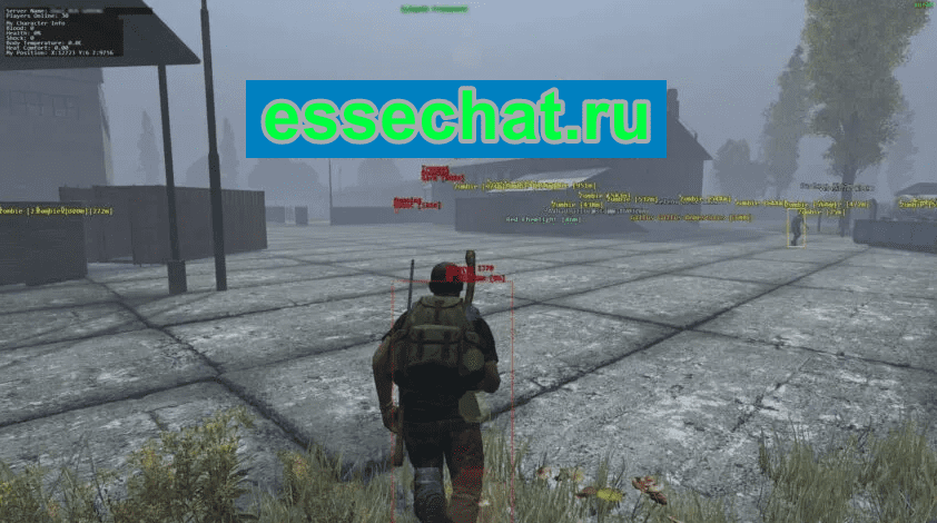 DayZ